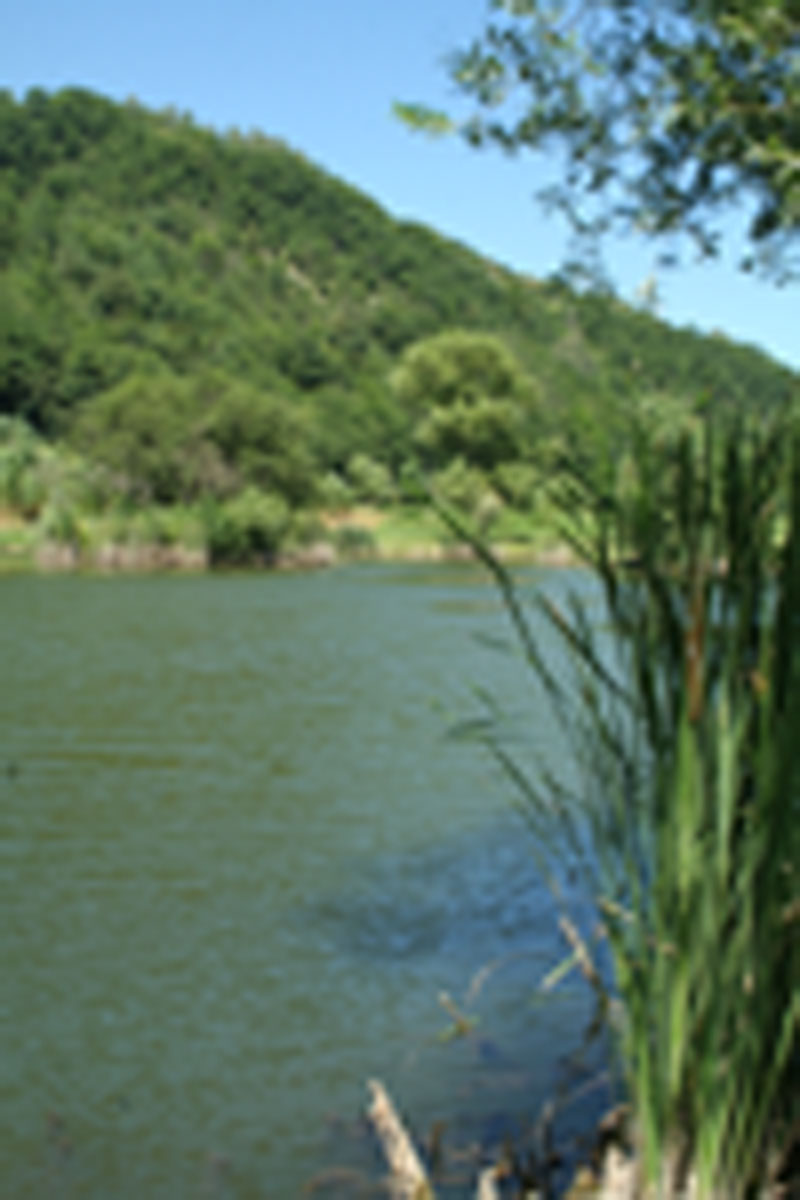 15bal vizillevaulnavey