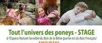 160618BoisdelaBatieStage Univers poneys