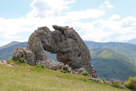 MZ34PierrePercee5478